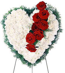 Bleeding Heart  from Lloyd's Florist, local florist in Louisville,KY
